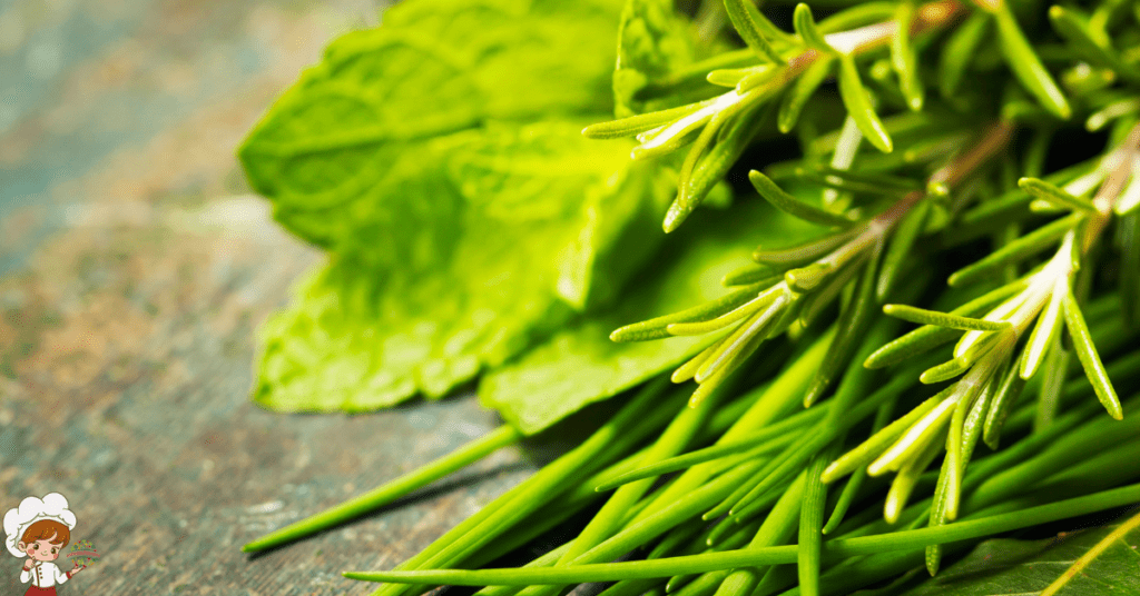 Italian Herbs And Spices Used In Cooking