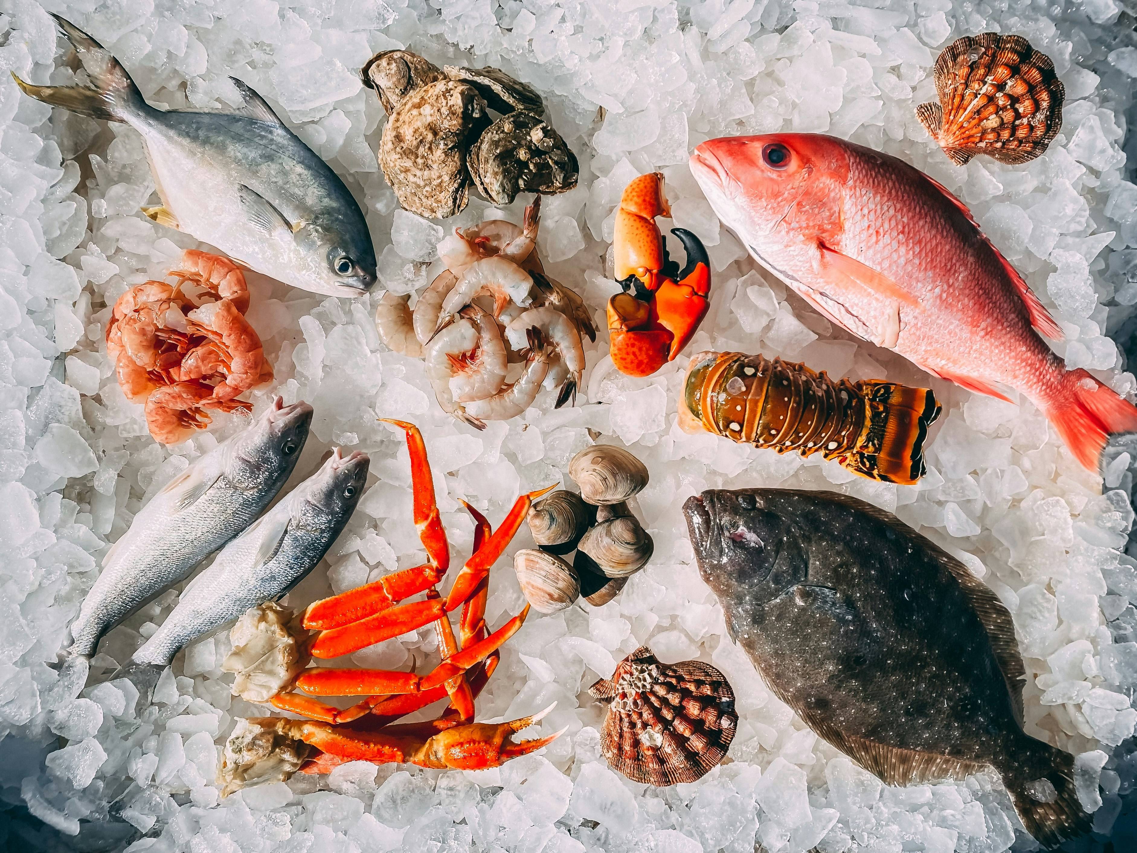 Beginner's Guide To Easy Seafood Preparation