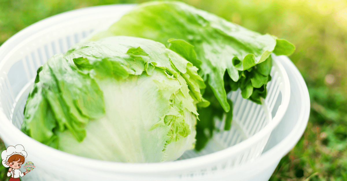 Best Manual Salad Spinners For Salads