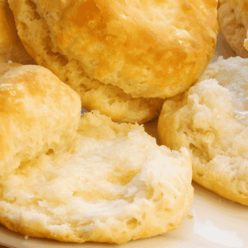 Best History and Origin of Campfire Biscuits