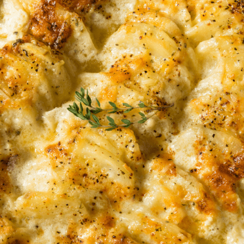 Origin of The Best Scalloped Potatoes