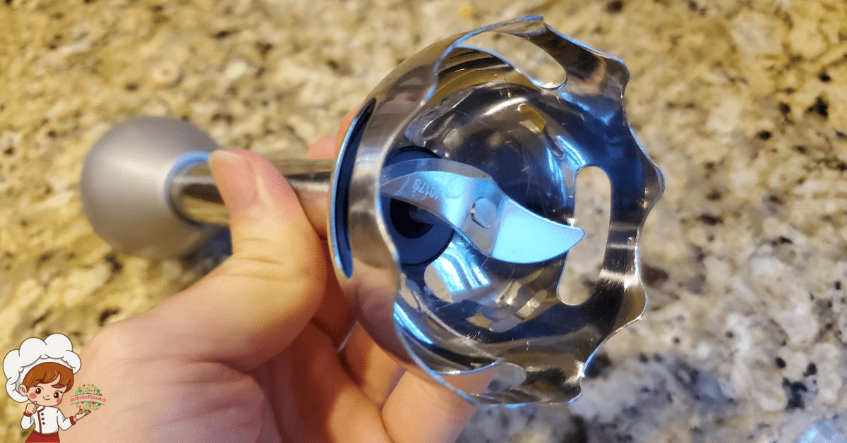 Immersion Blenders With Stainless Steel Blade