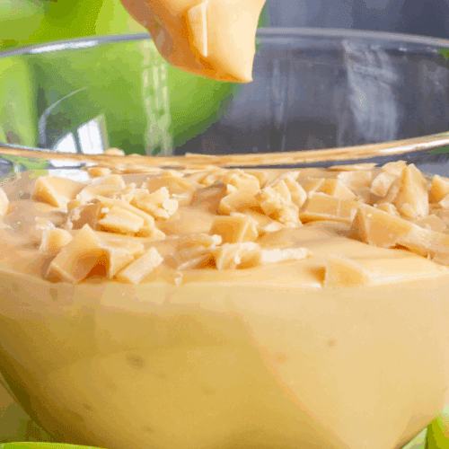 A Fall Favorite Caramel Apple Dip