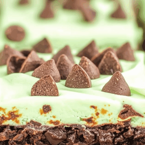 Great History of Mint Chocolate Chip Brownies
