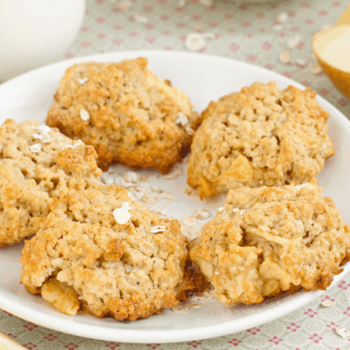 Origin of Apple Cinnamon Oatmeal Cookies